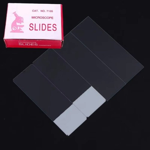 50pcs box diy blank - 50pcs/box, biology